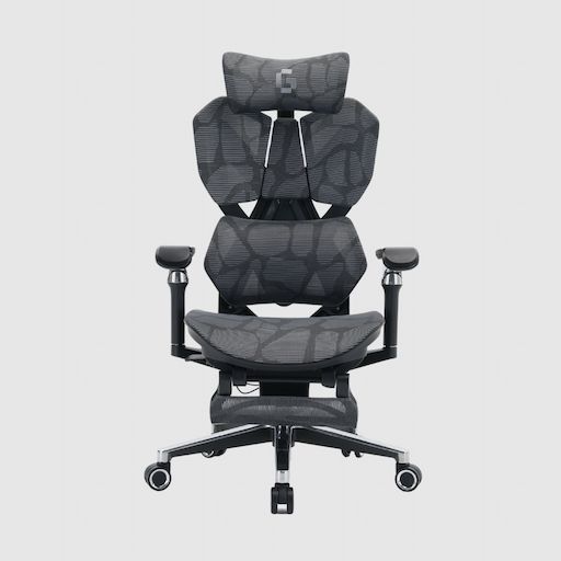 Ghế Công thái học Gami X5 Pro - Ergonomic Gaming