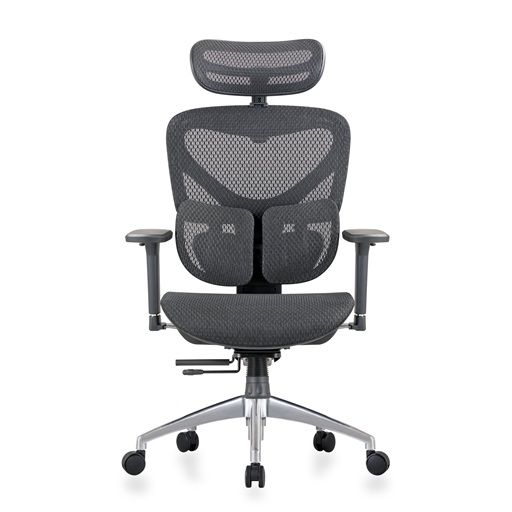 Ghế Công Thái Học Manson Iris V2 Có Gác chân