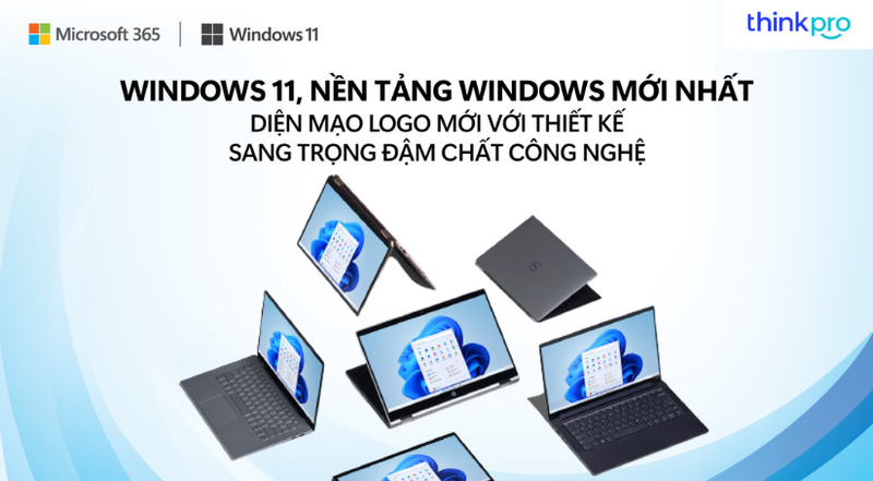 Top được Sếp cưng chốn văn phòng: Thành thạo Windows 11 và Microsoft 365