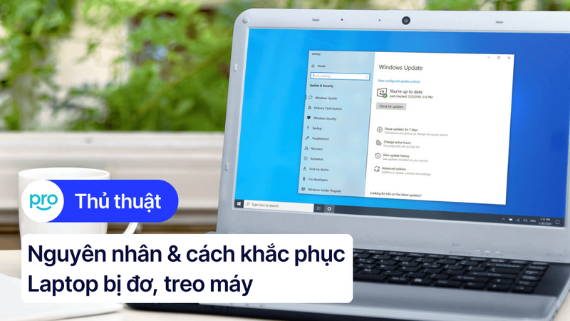 Laptop bị đơ, treo máy: Nguyên nhân & cách khắc phục hiệu quả