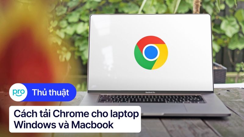 Hướng dẫn cách tải và cài đặt Chrome trên laptop mới nhất 2025