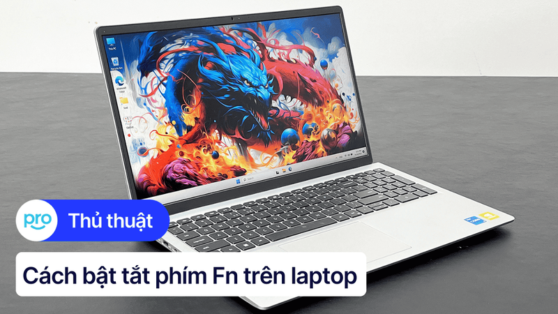 Cách bật, tắt phím chức năng FN + F1, F2, F3,... F12 trên laptop 2025