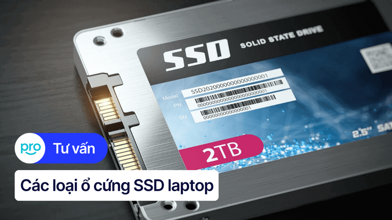 Các loại ổ cứng SSD laptop: So sánh, lựa chọn và nâng cấp