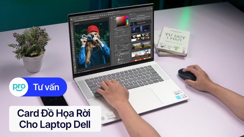Card đồ họa rời cho laptop Dell: Khi nào cần, nên chọn loại nào?