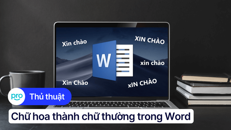 Change case trong Word: Chữ hoa thành chữ thường và ngược lại