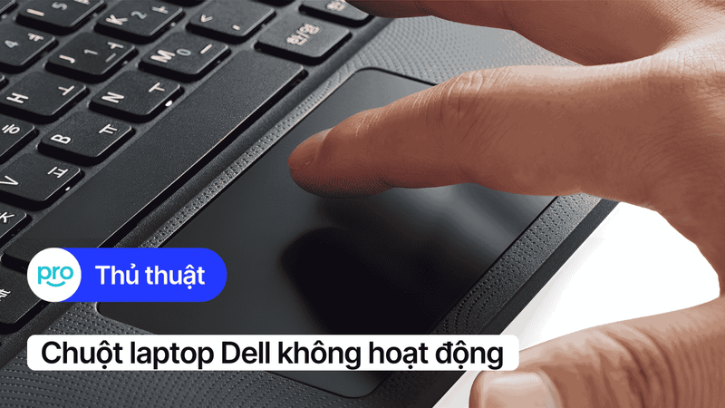 Chuột laptop Dell không hoạt động: Cách khắc phục hiệu quả