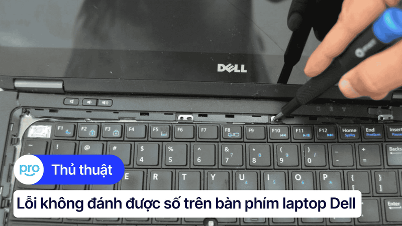 Khắc phục lỗi không đánh được số trên bàn phím laptop Dell