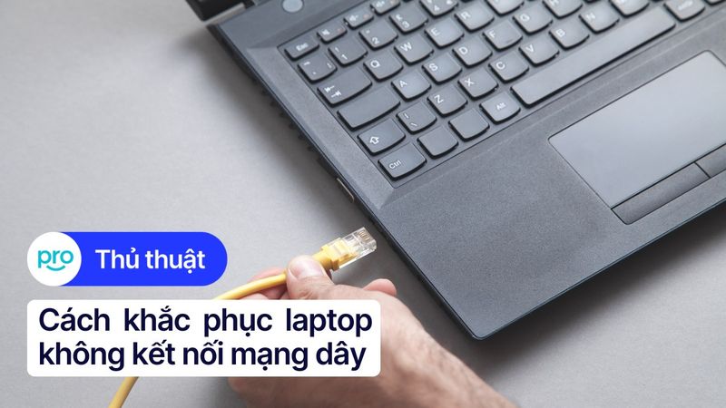 Laptop không kết nối mạng dây: Nguyên nhân và cách khắc phục