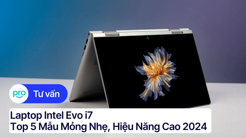 Laptop Card AMD: Top 6 Mẫu HOT Nhất 2025 | ThinkPro