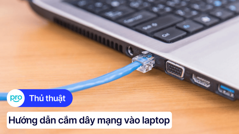 Hướng dẫn cắm dây mạng vào laptop Windows 10 chi tiết