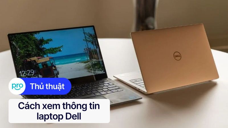 Cách xem thông tin laptop Dell: Đơn giản, chi tiết