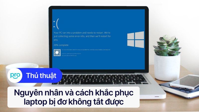 Laptop bị đơ không tắt được? Nguyên nhân và cách khắc phục