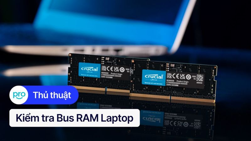 Kiểm tra Bus RAM Laptop: 3 Cách đơn giản nhất 2025