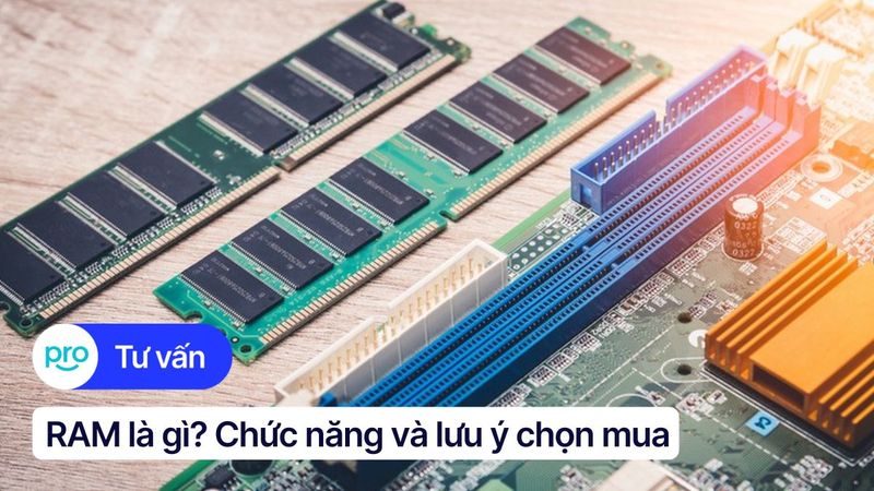 RAM là gì? Chức năng, ý nghĩa và cách chọn mua RAM chuẩn nhất