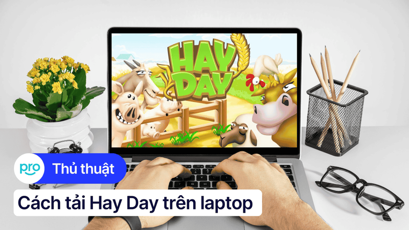 Hướng dẫn tải Hay Day trên laptop đơn giản, chi tiết nhất
