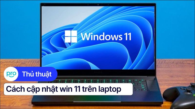 Hướng dẫn cập nhật Win 11 trên laptop đơn giản, nhanh chóng