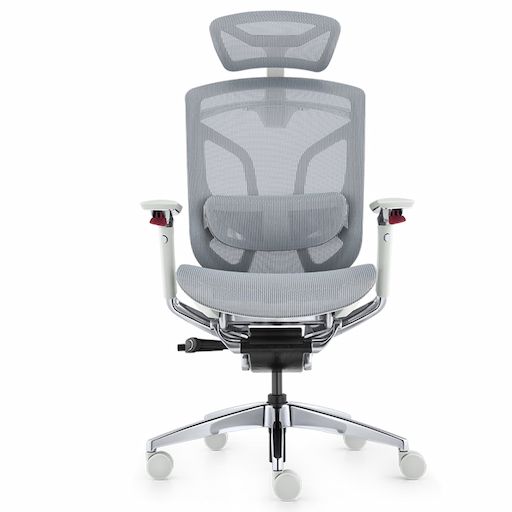 Ghế Công Thái Học GT Chair Dvary Butterfly Pro