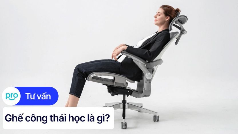 Công thái học là gì? Ứng dụng của công thái học trong đời sống