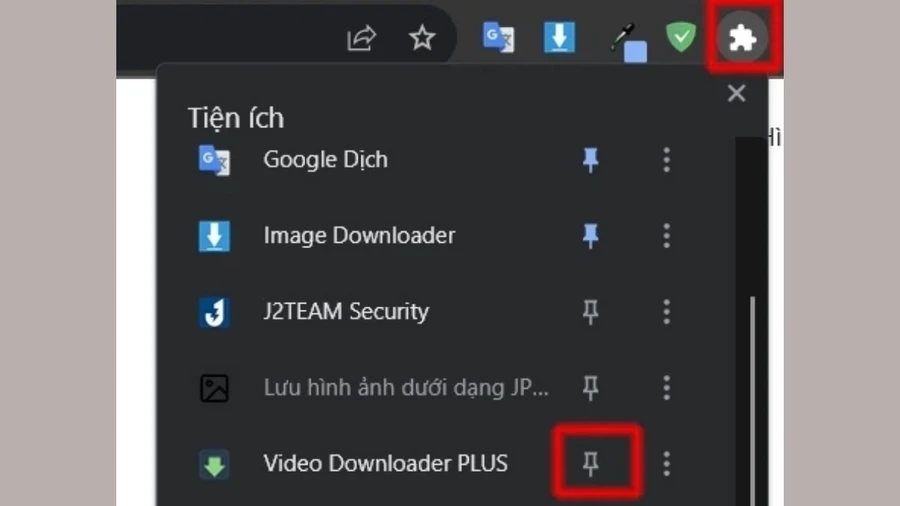Tìm Video Downloader PLUS và ghim nó lên thanh công cụ