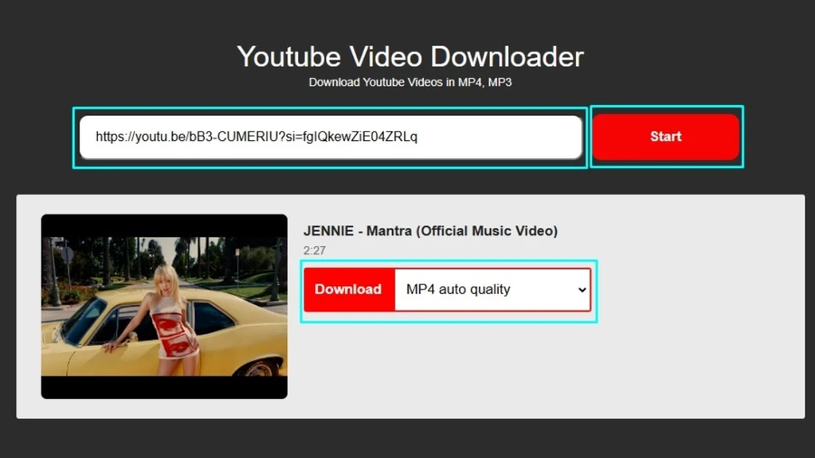 Dán đường link video vào ô trống trên trang chủ và nhấn Start