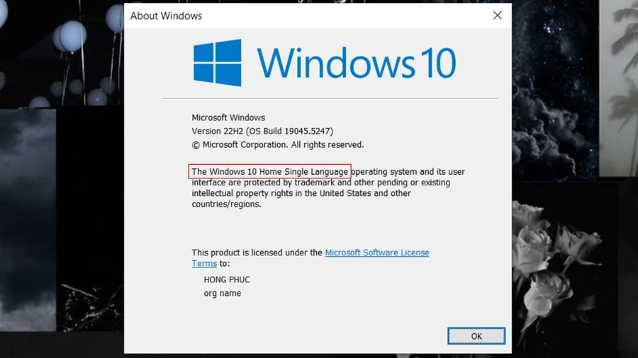 Windows 10 Home SL có các nhược điểm như: chỉ hỗ trợ một ngôn ngữ duy nhất (Single Language) và không thể thay đổi ngôn ngữ.