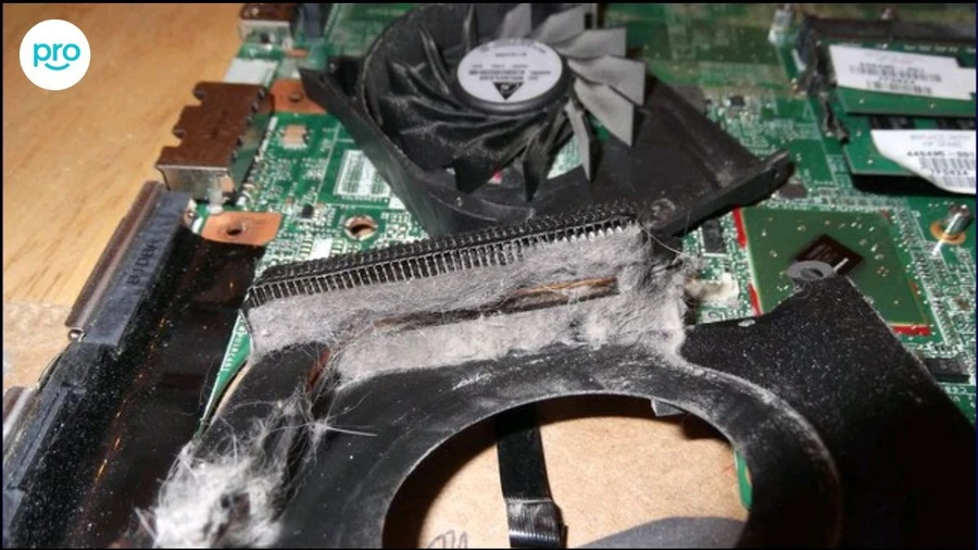 Quạt laptop bám đầy bụi có thể là nguyên nhân gây ra tiếng ồn lớn