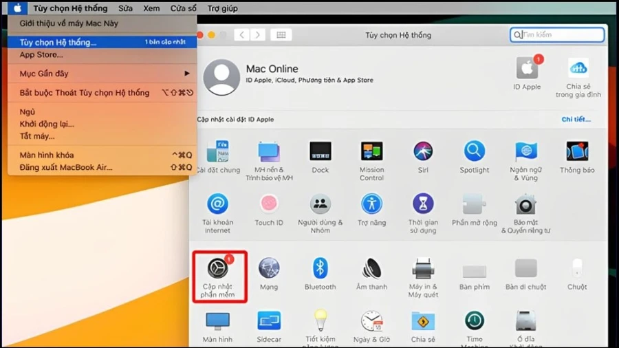 Nhấp vào Menu Apple => Chọn System Preferences (Tùy chọn hệ thống) => Chọn Software Update (Cập nhật phần mềm)