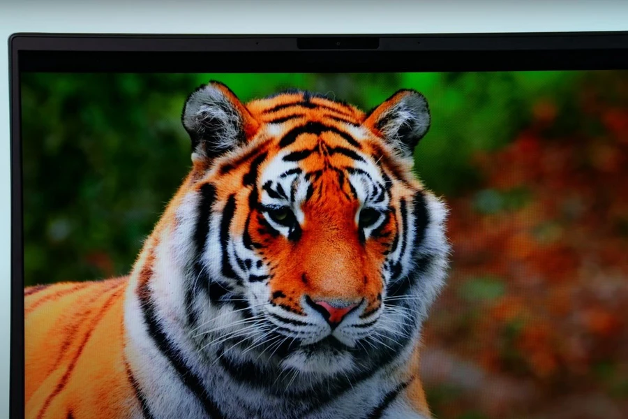 Dell Alienware R2 có 100% sRGB cùng sai lệch màu DeltaE dưới 2.0