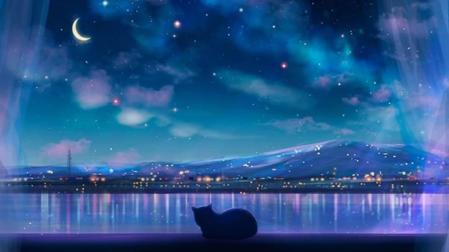 Khung cảnh thành phố đêm với mèo Anime