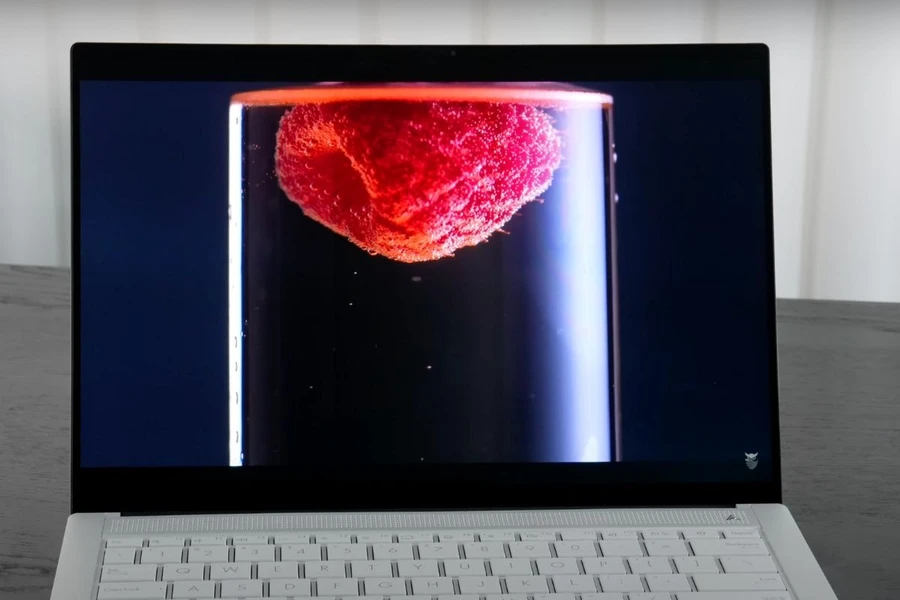 ASUS Zenbook S14 UX5406 có màn hình sắc nét và đầy sống động