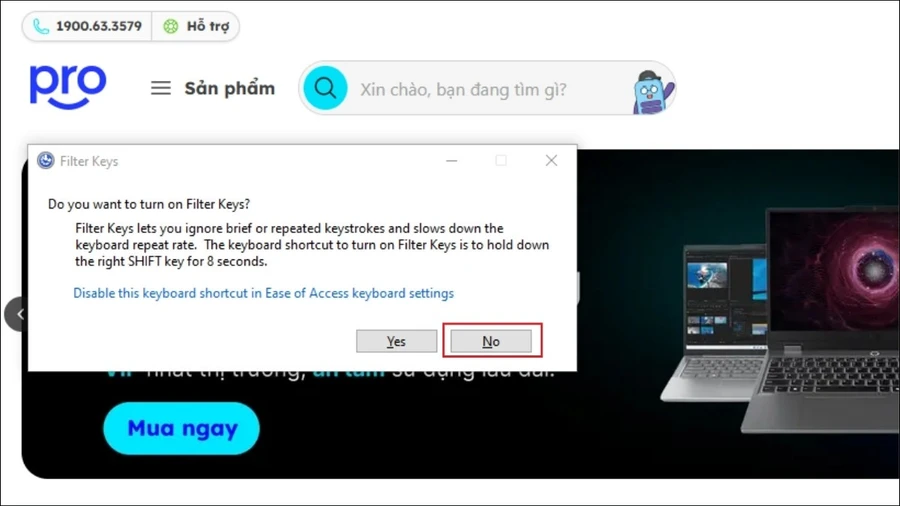 Để tắt Filter Keys, nhấn giữ phím Shift bên phải trong 8 giây