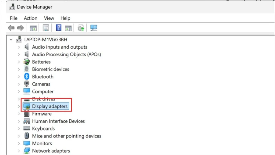 Mở Device Manager và tìm đến mục Display adapters