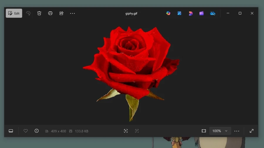 Nhấp đúp vào file GIF để xem ảnh GIF sau khi tải về