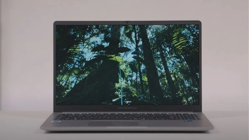 Màn hình Asus ExpertBook P1503CVA-i308256-63W