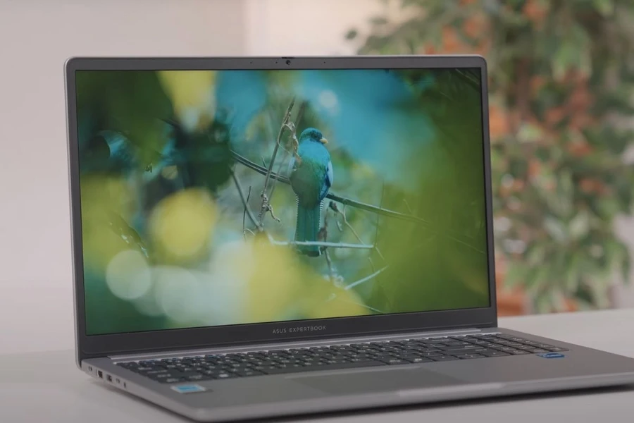 Trải nghiệm hình ảnh rõ ràng và chống chói hiệu quả trên ASUS ExpertBook P1503CVA-i308-50W
