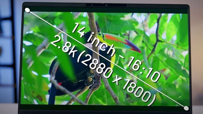ASUS Vivobook S14 OLED S5406SA-PP060WS màn hình hiển thị sắc nét