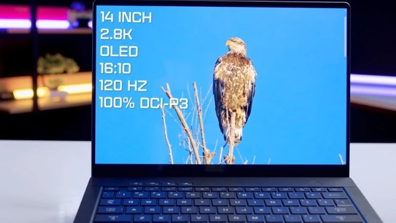 Màn hình Asus ROG Zephyrus G14 GA403WM-QS051WS sống động, sắc nét