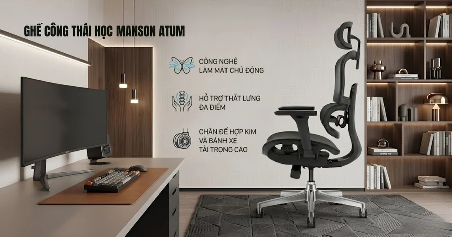 Ghế công thái học Manson Atum