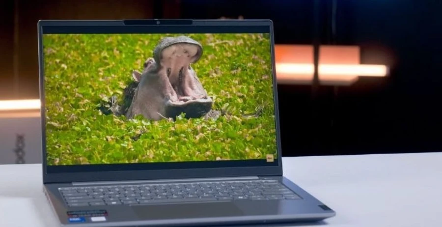 Lenovo ThinkBook 14 G8 IRL 21SG007SVN