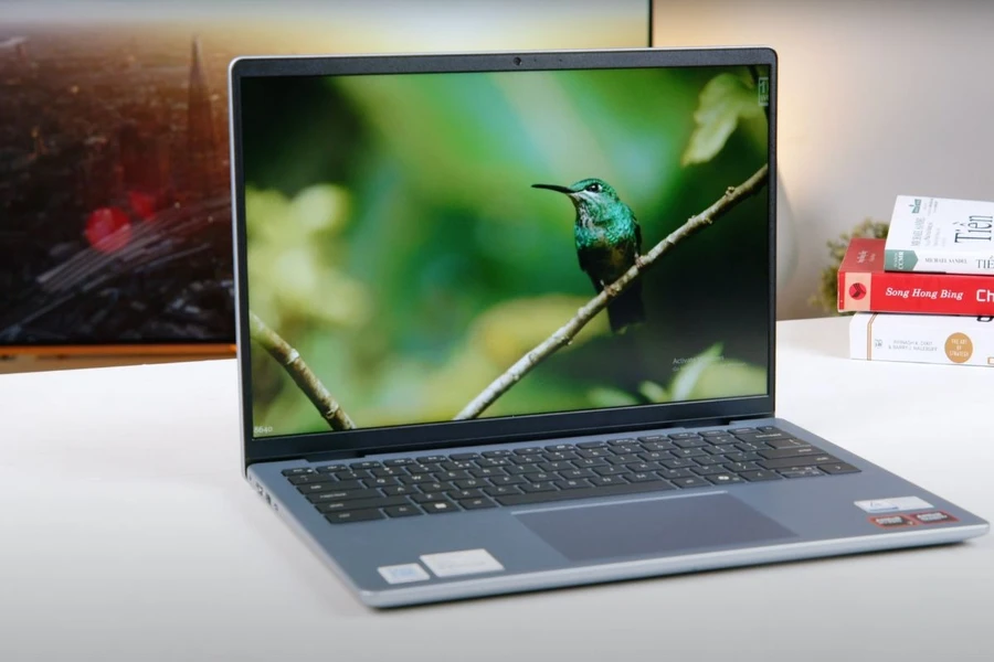 Dell Inspiron 14 5445 có độ sáng 300 nits