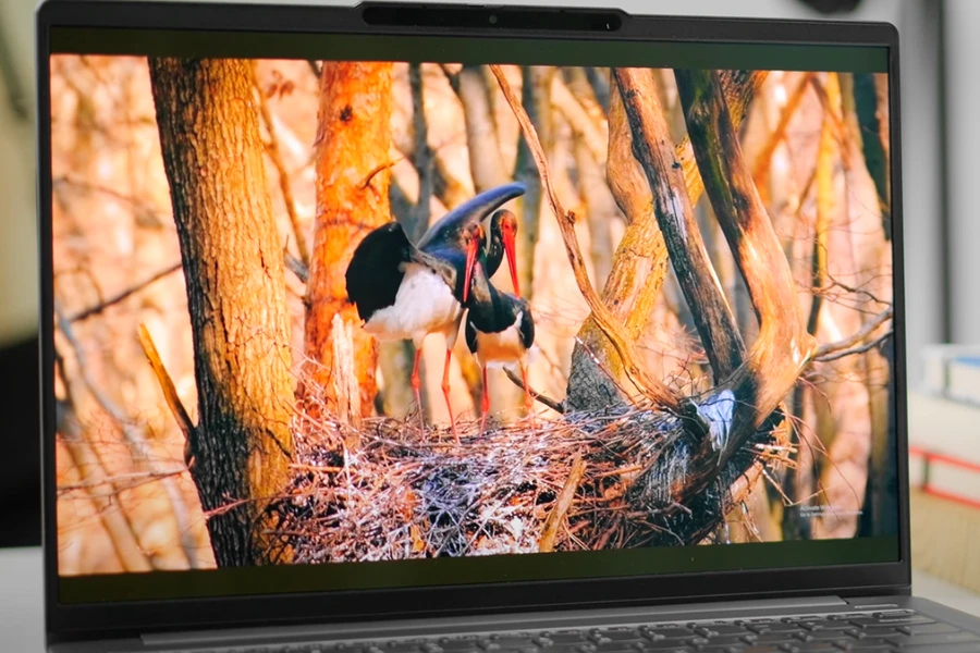 Hình ảnh sắc nét và sống động trên Lenovo Xiaoxin Pro 14 2024