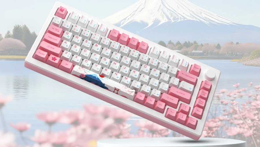 Bàn phím Akko Tenkeyless