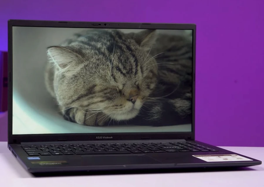 Asus Vivobook 15X OLED (M1503QA)