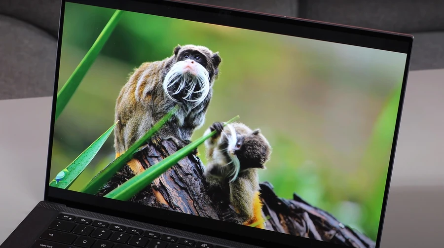 Màn hình - Dell XPS 15 9520