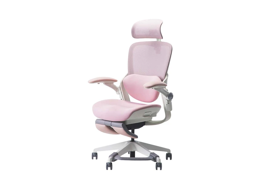 ghe-cong-thai-hoc-Epione-Easy-Chair-Blossom