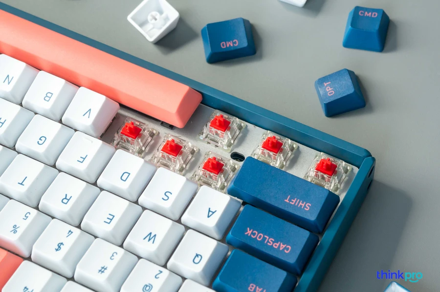 Về switch, không quá bất ngờ khi chúng ta có CherryMX - thương hiệu sản xuất switch tới từ Đức đã quá nổi tiếng.