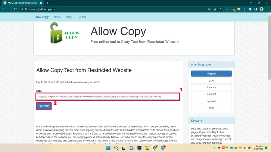 Giao diện công cụ Allow Copy trên trang web