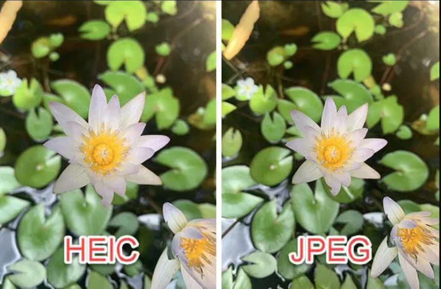 HEIC vượt trội về mặt kỹ thuật so với định dạng JPG