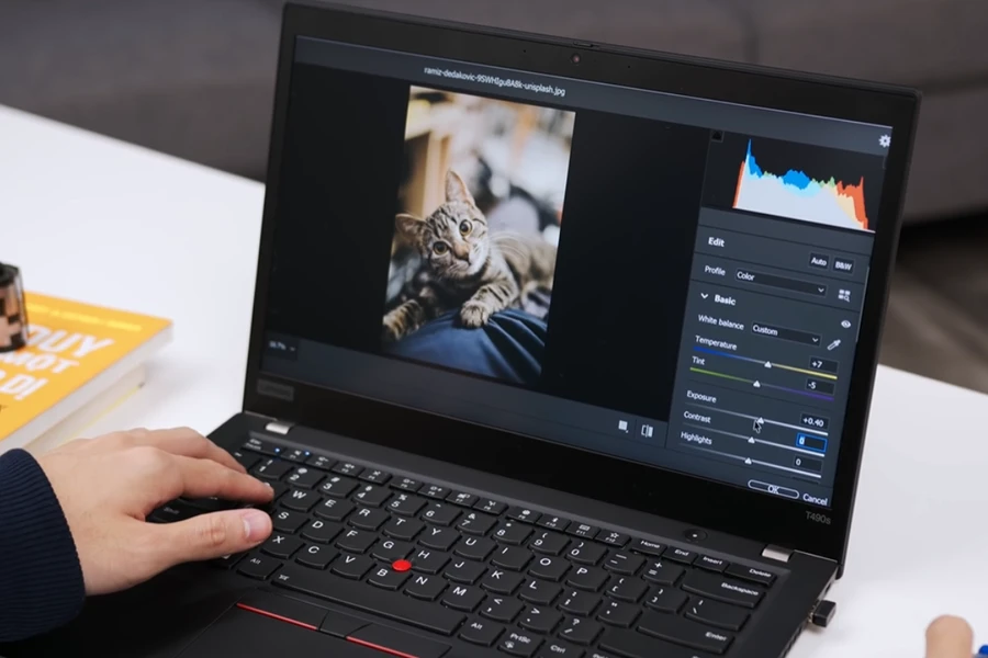 Màn hình - Lenovo ThinkPad X1 Carbon Gen 5