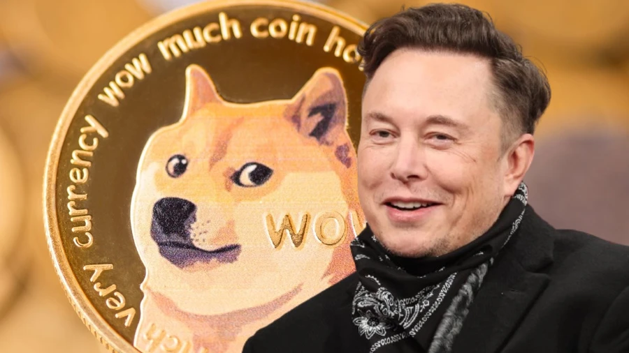 Việc vị tỉ phú Elon Musk thường xuyên sử dụng meme Dogecoin khiến cho nó nhận được sự chú ý từ những nhà đầu cơ
